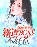 小说《契婚宠一生》TXT下载_契婚宠一生