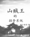 男主女主是赵庆,寒山,竹雨的小说是什么_山贼王的掠夺系统