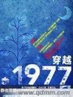 男主女主是赵芳,陈二柱,邓子涵的小说是什么_穿越1977