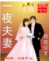 男主女主是李凌,丁嘉,肖莹的小说是什么_一夜夫妻