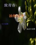 致青春：油桐花开_致青春：油桐花开