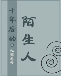 男主女主是林锦,刘琰,柯准的小说是什么_十年后的陌生人