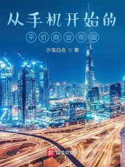 小说《从手机开始的平价商业帝国》TXT百度云_从手机开始的平价商业帝国