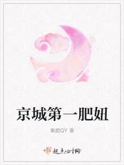 男主女主是夏双清,夏宁雪,张氏的小说是什么_京城第一肥妞