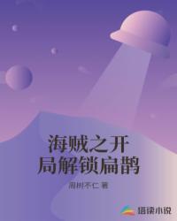 小说《海贼之开局解锁扁鹊》TXT下载_海贼之开局解锁扁鹊