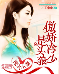 小说《撩火小妻：傲娇冷少是头狼》TXT百度云_撩火小妻：傲娇冷少是头狼