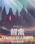 小说《醒来，穿越到全职法师世界》TXT下载_醒来，穿越到全职法师世界