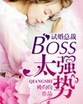 男主女主是苏瑶儿,安晓晓,韩玉玲的小说是什么_试婚总裁：boss，太强势！