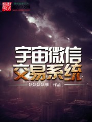 小说《宇宙微信交易系统》TXT百度云_宇宙微信交易系统