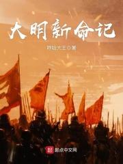 小说《大明新命记》TXT百度云_大明新命记