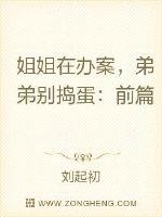 作为东道主的陈东晓走在前边引着路，向宇珩和唐继文各自背着限量款女士挎包跟在女人们身后，宋轶，走在众人_刑警在办案，弟弟别捣蛋