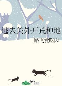 男主女主是赵晟,金氏,黄念文的小说是什么_逃去关外开荒种地 