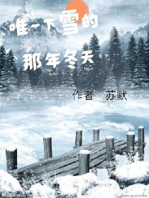 小说《唯一下雪的那年冬天》TXT下载_唯一下雪的那年冬天