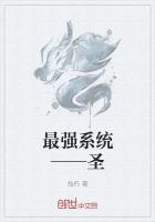 小说《狂暴系统——圣》TXT百度云_狂暴系统——圣