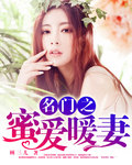 名门暖婚蜜爱_名门之蜜爱暖妻