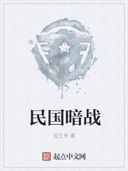 男主女主是刘清华,刘山,魏伯的小说是什么_民国暗战