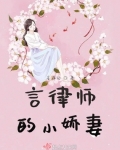 女主是律师的小说言情_言律师的小娇妻