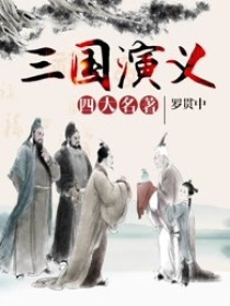 三国演义白话文完整txt_三国演义