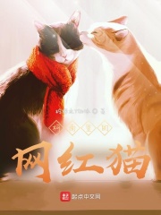 女主的猫是网红_柯南里的网红猫