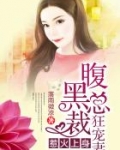 男主女主是倪昊东,倪昊,苏琳的小说是什么_惹火上身：腹黑总裁狂宠妻