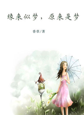 男主女主是叶刚,老潘,亚子的小说是什么_缘来似梦，原来是梦