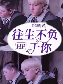 HP往生不负于你，_HP往生不负于你，