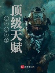 小说《csgo之顶级天赋》TXT下载_csgo之顶级天赋