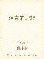 男主女主是洛克,希尔瓦娜斯,萨拉斯的小说是什么_魔兽之暗影奥术师