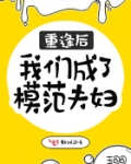 小说重逢后我们成了模范夫妇_重逢后我们成了模范夫妇