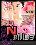 -本书的男主出自于以前一部作品《龙骑少主》中的人物，假如大家喜欢眼下这部小说的话，提议可以点看《龙骑_家有Ｎ多小姨子