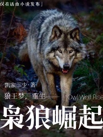 小说《狼王梦，重生——枭狼崛起》TXT百度云_狼王梦，重生——枭狼崛起