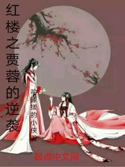 男主女主是贾蓉,秦可卿,王熙凤的小说是什么_红楼之贾蓉的逆袭
