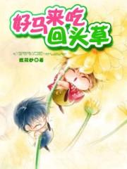 男主女主是苏筱,林墨言,俞海宇的小说是什么_好马来吃回头草