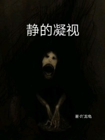 男主女主是巴洛,安德烈,阿姆斯特朗的小说是什么_静的凝视