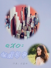 小说《exo:似瑾年华》TXT下载_exo:似瑾年华
