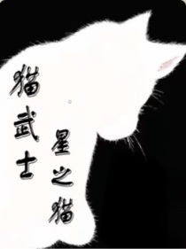 猫武士星座_猫武士：星之猫