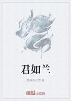 小说《君如兰》TXT百度云_君如兰