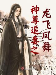男主女主是穆凌枫,皇甫宁湘,凤娥的小说是什么_神尊追妻之龙飞凤舞