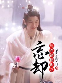 小说《与君初相识之忘却》TXT百度云_与君初相识之忘却