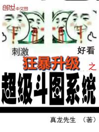 小说《狂暴升级之超级斗图系统》TXT下载_狂暴升级之超级斗图系统