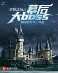 小说《霍格沃兹之幕后大boss》TXT百度云_霍格沃兹之幕后大boss