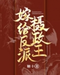 男主女主是江景烨,苏芜,顾燕燕的小说是什么_嫁给反派摄政王