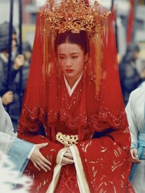 【元瑶】：我是北魏公主，元修的妹妹，我母亲是曾经的北齐公主，也是高湛的妹妹，而高长恭则是我表哥，我的_独孤天下之元瑶公主