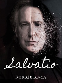小说《HP—Salvatio救赎（完结）》TXT百度云_HP—Salvatio救赎（完结）