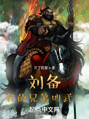 小说《刘备：我的兄弟叫武二》TXT百度云_刘备：我的兄弟叫武二