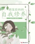 男主女主是孟绍宇,琳琳,芳芳的小说是什么_萌宝后妈的自我修养
