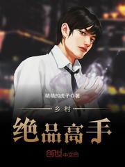 小说《乡村绝品高手》TXT百度云_乡村绝品高手