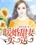 男主女主是叶继扬,江亦恒,凌筱的小说是什么_暖婚甜妻，买一送一