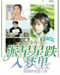 男主女主是邓小琪,小琪,李星泽的小说是什么_少年派星星跌入梦里