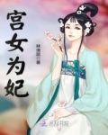 为妃作宰宫女_宫女为妃